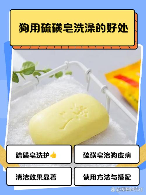 狗狗可以用硫磺皂洗澡吗,狗能用硫磺皂洗吗?-第5张图片-后鲨宠物 狗狗可以用硫磺皂洗澡吗,狗能用硫磺皂洗吗?-第5张图片-后鲨宠物