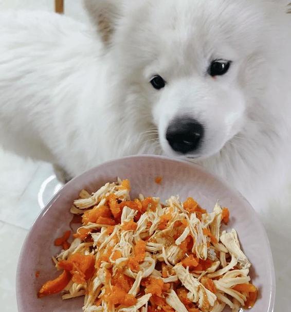 狗狗可以吃油渣吗_狗狗可以吃油渣吗有营养吗-第3张图片-后鲨宠物 狗狗可以吃油渣吗_狗狗可以吃油渣吗有营养吗-第3张图片-后鲨宠物