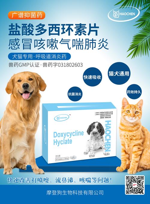 狗狗可以吃罗红霉素吗,狗可以吃罗红霉素消炎吗?-第2张图片-后鲨宠物 狗狗可以吃罗红霉素吗,狗可以吃罗红霉素消炎吗?-第2张图片-后鲨宠物