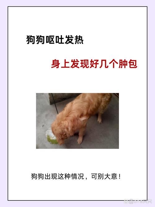 狗狗发烧呕吐怎么办,狗狗发烧呕吐是怎么回事?-第1张图片-后鲨宠物 狗狗发烧呕吐怎么办,狗狗发烧呕吐是怎么回事?-第1张图片-后鲨宠物