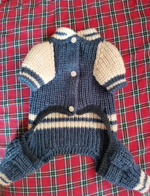 怎样织狗狗毛衣_怎样织狗狗毛衣好看-第2张图片-后鲨宠物 怎样织狗狗毛衣_怎样织狗狗毛衣好看-第2张图片-后鲨宠物