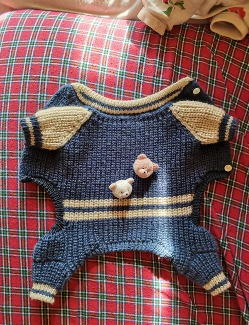 怎样织狗狗毛衣_怎样织狗狗毛衣好看-第4张图片-后鲨宠物 怎样织狗狗毛衣_怎样织狗狗毛衣好看-第4张图片-后鲨宠物