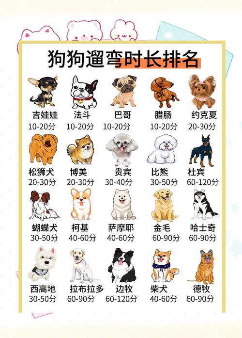 狗狗三个月可以出门吗,小狗3个月了可以独立在外面吗?-第2张图片-后鲨宠物 狗狗三个月可以出门吗,小狗3个月了可以独立在外面吗?-第2张图片-后鲨宠物