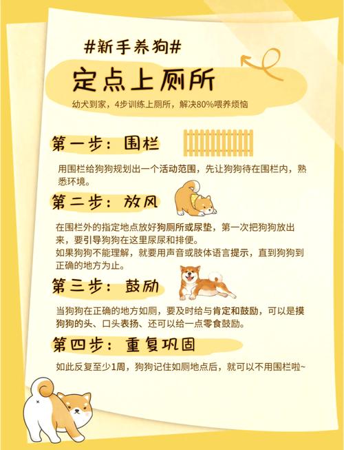 如何培养狗狗定点大小便,如何培养狗狗定点大小便的方法-第3张图片-后鲨宠物 如何培养狗狗定点大小便,如何培养狗狗定点大小便的方法-第3张图片-后鲨宠物