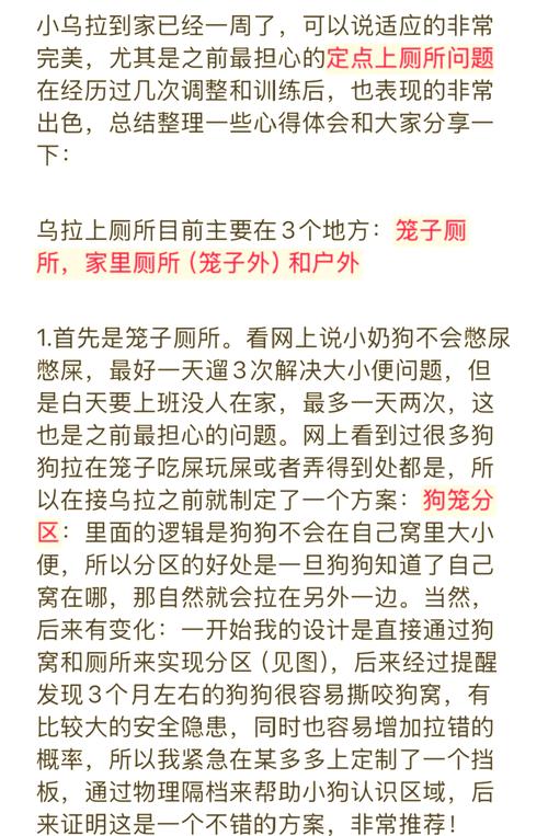 如何培养狗狗定点大小便,如何培养狗狗定点大小便的方法-第4张图片-后鲨宠物 如何培养狗狗定点大小便,如何培养狗狗定点大小便的方法-第4张图片-后鲨宠物