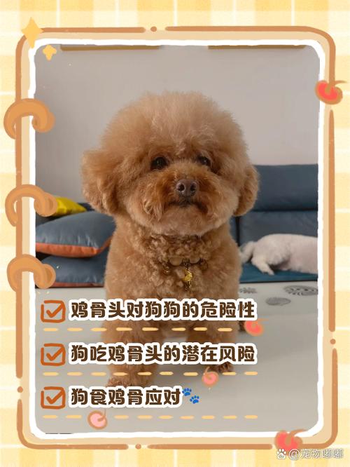 怀孕的狗狗能吃鸡骨头吗_狗在孕期能吃鸡骨头吗-第1张图片-后鲨宠物 怀孕的狗狗能吃鸡骨头吗_狗在孕期能吃鸡骨头吗-第1张图片-后鲨宠物