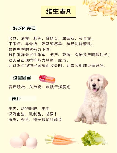 21金维他狗狗能吃吗,21金维他狗狗可以吃吗?-第2张图片-后鲨宠物 21金维他狗狗能吃吗,21金维他狗狗可以吃吗?-第2张图片-后鲨宠物