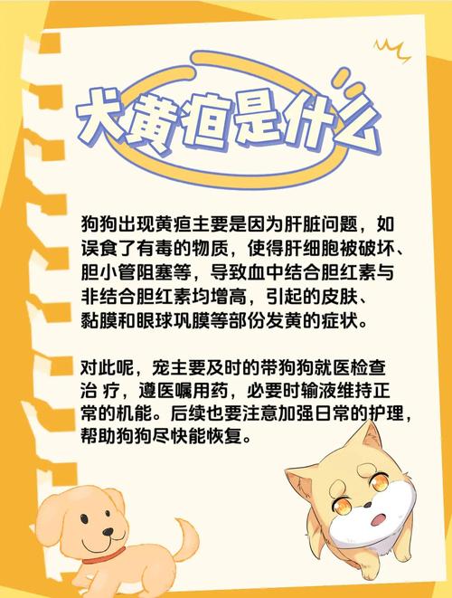 狗狗黄疸怎么办最有效,狗狗黄疸怎么治?-第2张图片-后鲨宠物 狗狗黄疸怎么办最有效,狗狗黄疸怎么治?-第2张图片-后鲨宠物
