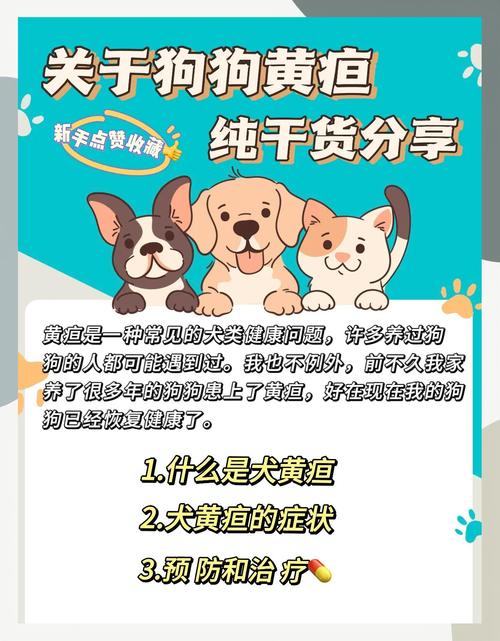 狗狗黄疸怎么办最有效,狗狗黄疸怎么治?-第6张图片-后鲨宠物 狗狗黄疸怎么办最有效,狗狗黄疸怎么治?-第6张图片-后鲨宠物