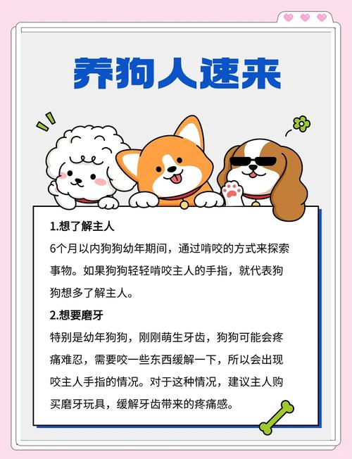 狗狗会不会咬主人,狗狗会不会咬主人的手?-第3张图片-后鲨宠物 狗狗会不会咬主人,狗狗会不会咬主人的手?-第3张图片-后鲨宠物