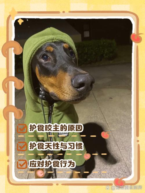 狗狗会不会咬主人,狗狗会不会咬主人的手?-第6张图片-后鲨宠物 狗狗会不会咬主人,狗狗会不会咬主人的手?-第6张图片-后鲨宠物