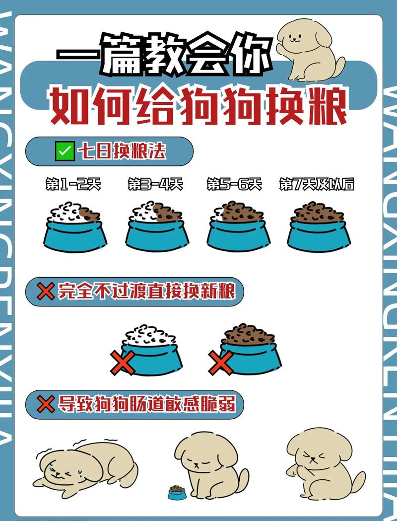 狗狗换狗粮吐了怎么办,狗狗换了狗粮呕吐是否狗粮的问题-第2张图片-后鲨宠物 狗狗换狗粮吐了怎么办,狗狗换了狗粮呕吐是否狗粮的问题-第2张图片-后鲨宠物