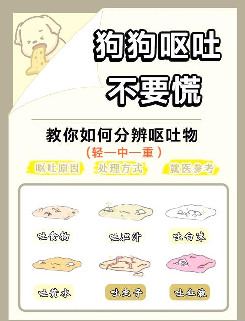 狗狗换狗粮吐了怎么办,狗狗换了狗粮呕吐是否狗粮的问题-第5张图片-后鲨宠物 狗狗换狗粮吐了怎么办,狗狗换了狗粮呕吐是否狗粮的问题-第5张图片-后鲨宠物