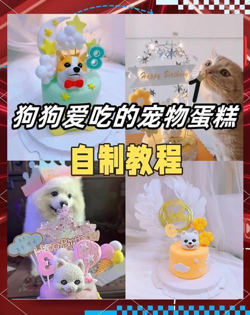 狗狗可以吃鸡蛋糕吗,狗能吃鸡蛋糕嘛?-第4张图片-后鲨宠物 狗狗可以吃鸡蛋糕吗,狗能吃鸡蛋糕嘛?-第4张图片-后鲨宠物