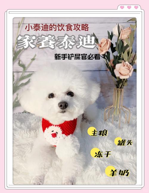 狗狗可以吃鸡蛋糕吗,狗能吃鸡蛋糕嘛?-第5张图片-后鲨宠物 狗狗可以吃鸡蛋糕吗,狗能吃鸡蛋糕嘛?-第5张图片-后鲨宠物