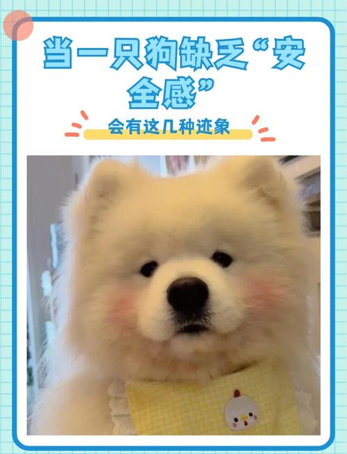 狗狗没有安全感的表现,狗狗没有安全感怎么办-第3张图片-后鲨宠物 狗狗没有安全感的表现,狗狗没有安全感怎么办-第3张图片-后鲨宠物