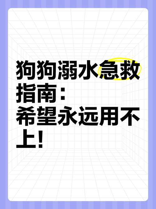 狗狗呛水了怎么办,狗严重呛水如何处理-第1张图片-后鲨宠物 狗狗呛水了怎么办,狗严重呛水如何处理-第1张图片-后鲨宠物