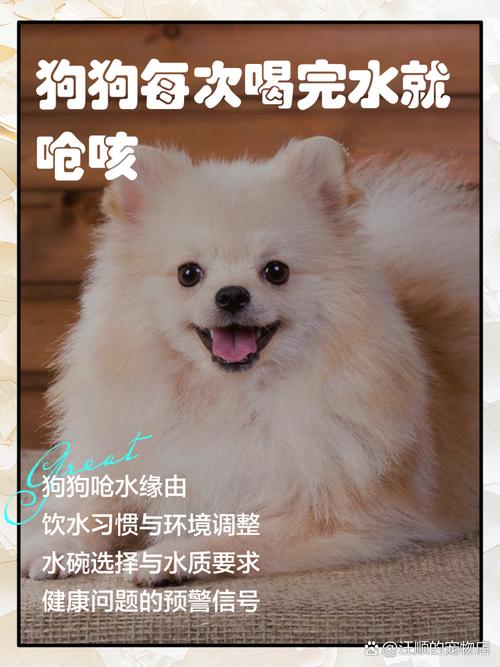 狗狗呛水了怎么办,狗严重呛水如何处理-第3张图片-后鲨宠物 狗狗呛水了怎么办,狗严重呛水如何处理-第3张图片-后鲨宠物