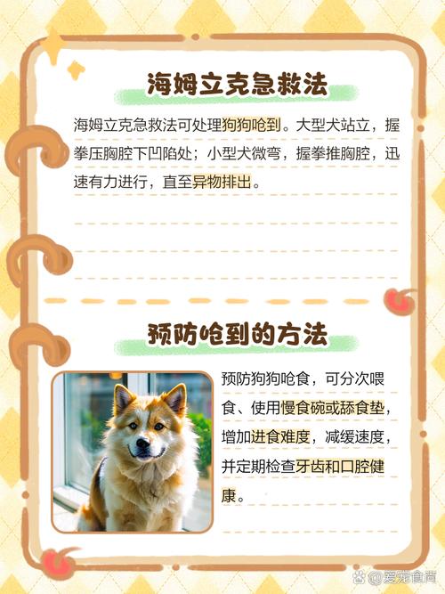 狗狗呛水了怎么办,狗严重呛水如何处理-第4张图片-后鲨宠物 狗狗呛水了怎么办,狗严重呛水如何处理-第4张图片-后鲨宠物