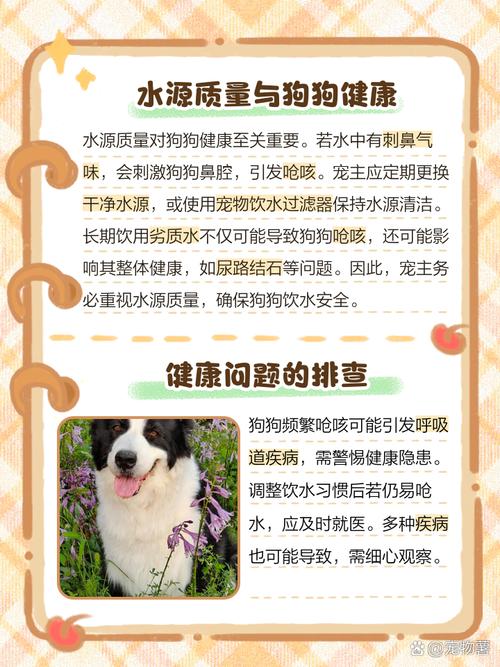 狗狗呛水了怎么办,狗严重呛水如何处理-第5张图片-后鲨宠物 狗狗呛水了怎么办,狗严重呛水如何处理-第5张图片-后鲨宠物