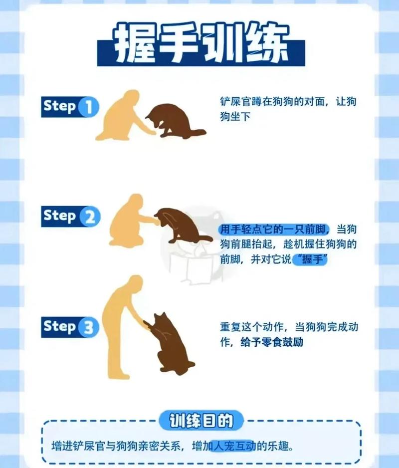 怎么训练狗狗坐下和握手,怎么训练狗狗坐下和握手姿势-第4张图片-后鲨宠物 怎么训练狗狗坐下和握手,怎么训练狗狗坐下和握手姿势-第4张图片-后鲨宠物