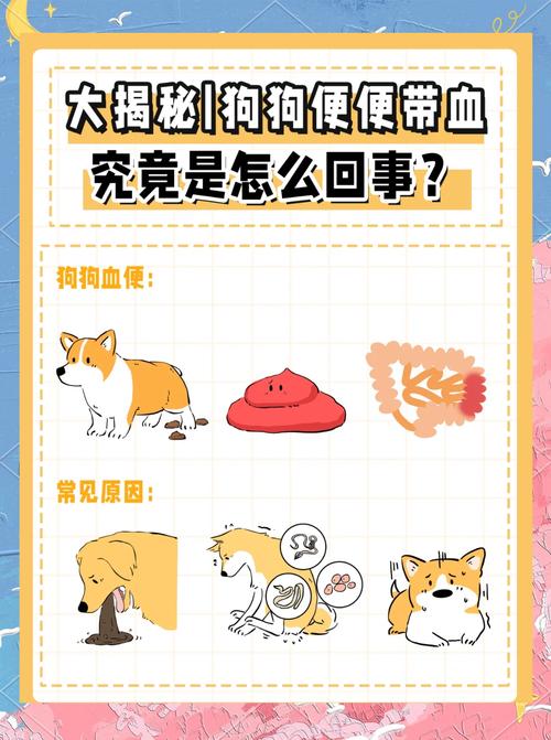 狗狗便血有几种原因,狗狗便血是啥原因-第1张图片-后鲨宠物 狗狗便血有几种原因,狗狗便血是啥原因-第1张图片-后鲨宠物