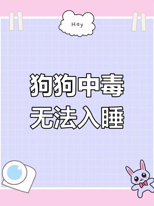 狗狗84中毒什么症状,狗狗84中毒会死吗-第2张图片-后鲨宠物 狗狗84中毒什么症状,狗狗84中毒会死吗-第2张图片-后鲨宠物