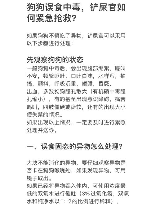 狗狗84中毒什么症状,狗狗84中毒会死吗-第3张图片-后鲨宠物 狗狗84中毒什么症状,狗狗84中毒会死吗-第3张图片-后鲨宠物