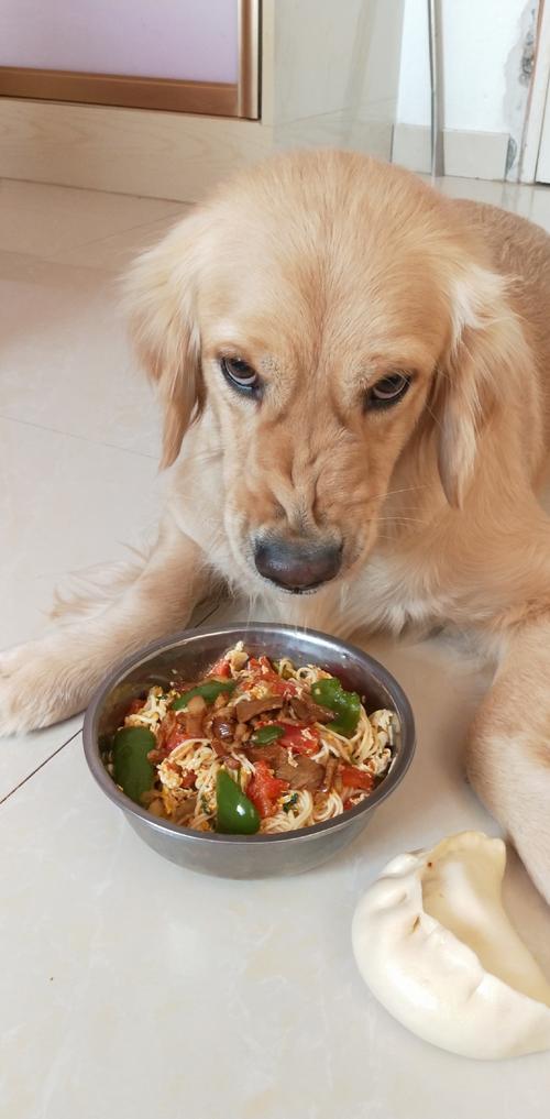 狗狗能吃荞麦面吗,狗狗能吃荞麦面吗为什么?-第2张图片-后鲨宠物 狗狗能吃荞麦面吗,狗狗能吃荞麦面吗为什么?-第2张图片-后鲨宠物