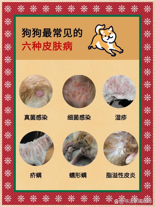 狗狗皮肤病会自愈吗,狗狗皮肤病会自愈吗会传染吗?-第1张图片-后鲨宠物 狗狗皮肤病会自愈吗,狗狗皮肤病会自愈吗会传染吗?-第1张图片-后鲨宠物