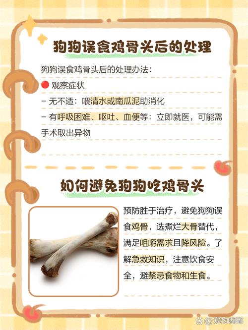 怀孕狗狗能吃鸡骨头吗,怀孕期间的狗狗能吃鸡骨头吗?-第3张图片-后鲨宠物 怀孕狗狗能吃鸡骨头吗,怀孕期间的狗狗能吃鸡骨头吗?-第3张图片-后鲨宠物