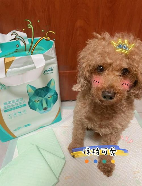 狗狗尿垫多久换一次,狗狗尿垫多久换一次?-第4张图片-后鲨宠物 狗狗尿垫多久换一次,狗狗尿垫多久换一次?-第4张图片-后鲨宠物