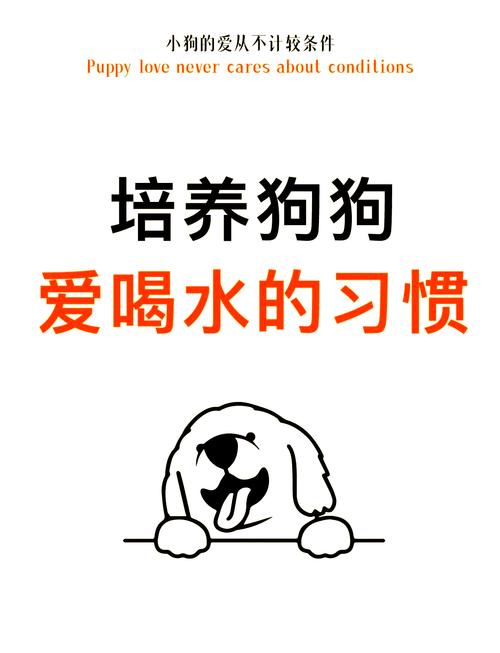 狗狗能喝热水吗,狗可以喝热水嘛?-第3张图片-后鲨宠物 狗狗能喝热水吗,狗可以喝热水嘛?-第3张图片-后鲨宠物