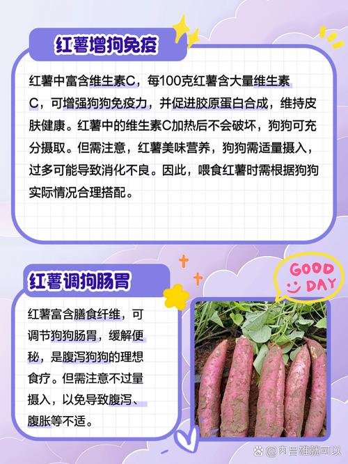 狗狗能吃红薯吗,狗狗能吃红薯吗有什么好处吗?-第3张图片-后鲨宠物 狗狗能吃红薯吗,狗狗能吃红薯吗有什么好处吗?-第3张图片-后鲨宠物