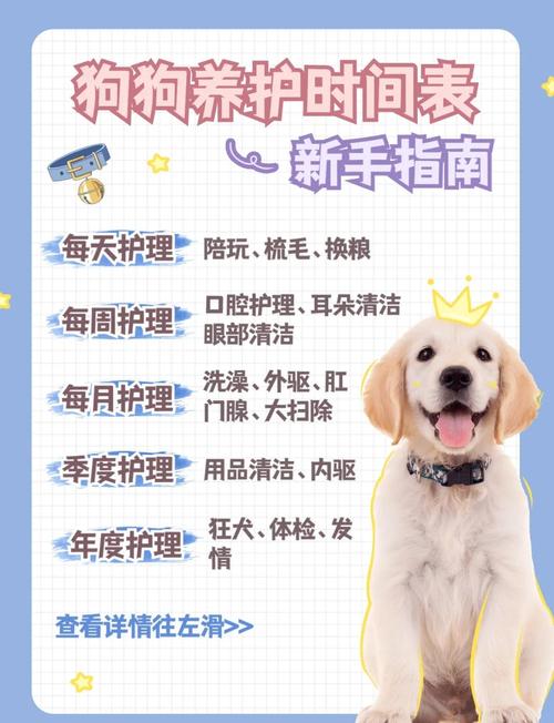 狗狗多大可以刷牙,狗狗多大可以给它刷牙?-第4张图片-后鲨宠物 狗狗多大可以刷牙,狗狗多大可以给它刷牙?-第4张图片-后鲨宠物