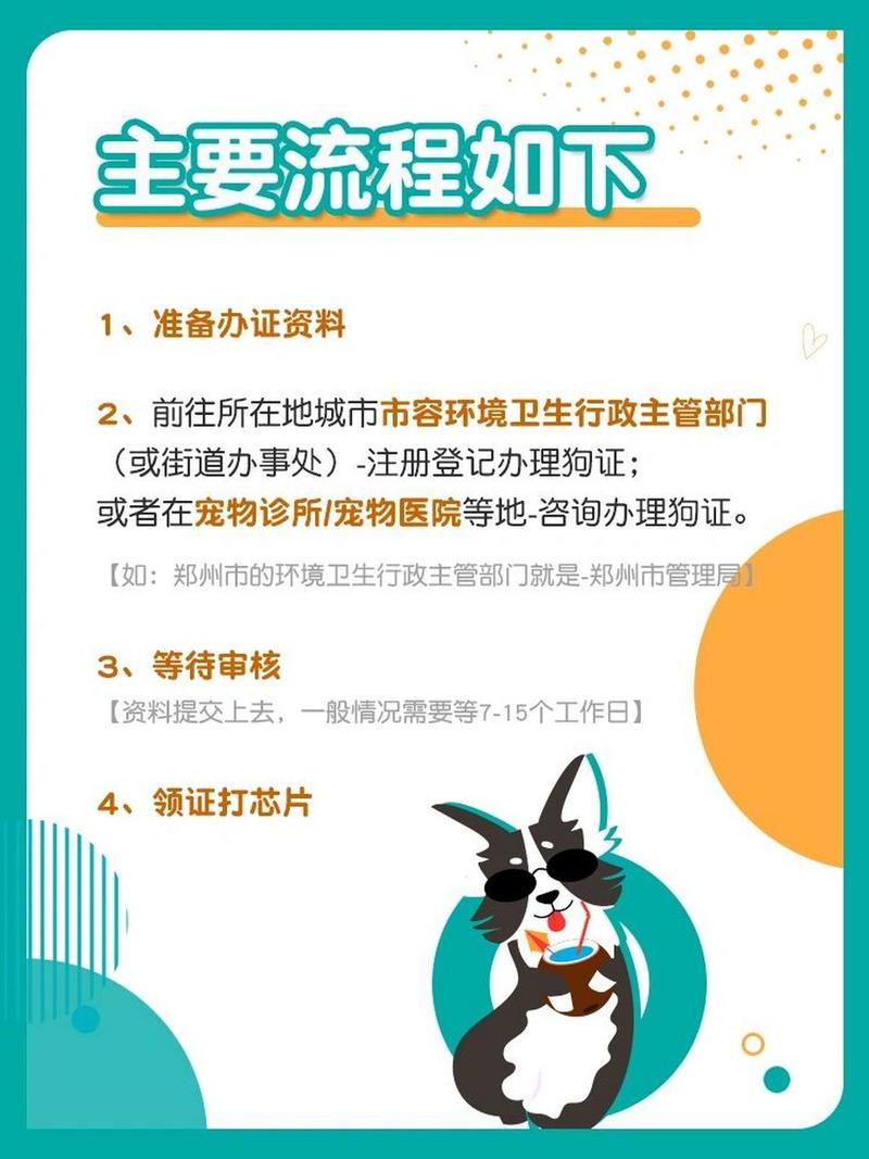 狗狗多大可以办狗证_狗多大去办狗证-第5张图片-后鲨宠物 狗狗多大可以办狗证_狗多大去办狗证-第5张图片-后鲨宠物