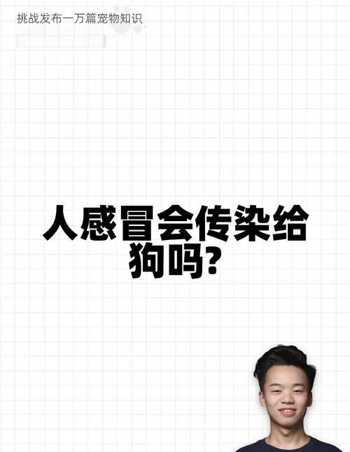 感冒会传染给狗狗吗,感冒会传染给狗狗么-第2张图片-后鲨宠物 感冒会传染给狗狗吗,感冒会传染给狗狗么-第2张图片-后鲨宠物