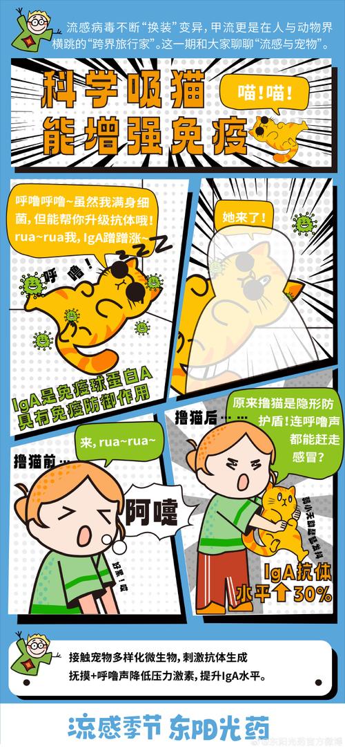 感冒会传染给狗狗吗,感冒会传染给狗狗么-第5张图片-后鲨宠物 感冒会传染给狗狗吗,感冒会传染给狗狗么-第5张图片-后鲨宠物