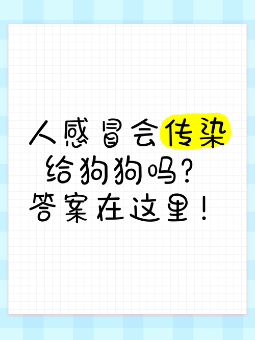 感冒会传染给狗狗吗,感冒会传染给狗狗么-第6张图片-后鲨宠物 感冒会传染给狗狗吗,感冒会传染给狗狗么-第6张图片-后鲨宠物