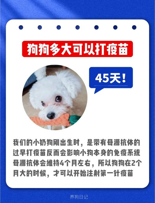 狗狗买回来多久打疫苗,狗狗买回来多长时间打疫苗?-第4张图片-后鲨宠物 狗狗买回来多久打疫苗,狗狗买回来多长时间打疫苗?-第4张图片-后鲨宠物
