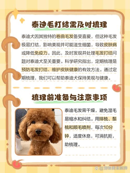 泰迪狗狗毛打结怎么办,泰迪狗毛打结成硬疙瘩怎么处理?-第6张图片-后鲨宠物 泰迪狗狗毛打结怎么办,泰迪狗毛打结成硬疙瘩怎么处理?-第6张图片-后鲨宠物