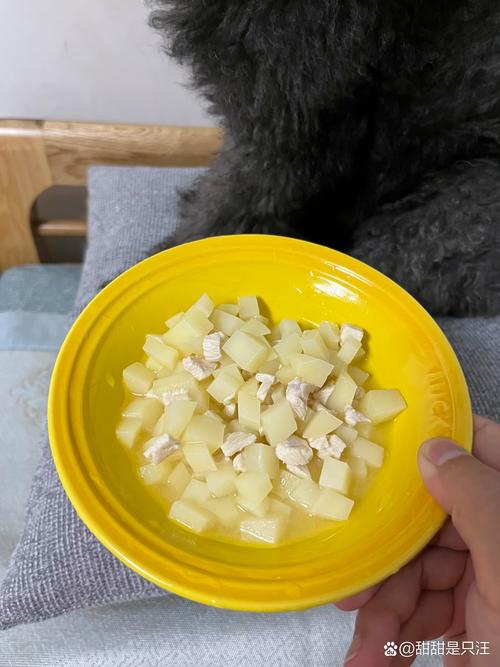 狗狗可以吃土豆嘛_狗狗可以吃土豆嘛会中毒吗-第1张图片-后鲨宠物 狗狗可以吃土豆嘛_狗狗可以吃土豆嘛会中毒吗-第1张图片-后鲨宠物