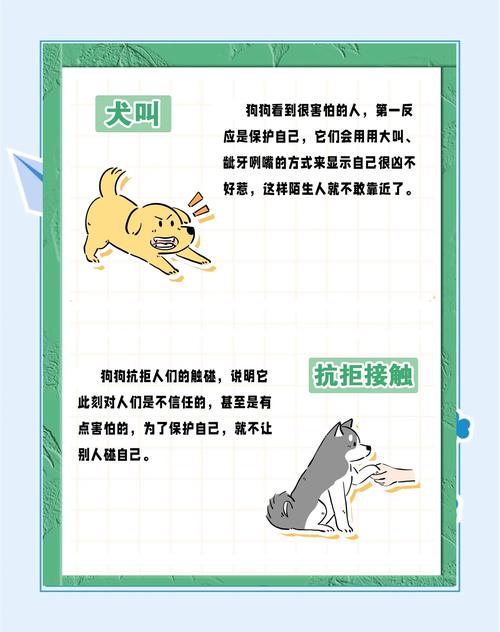  狗狗胆小到处躲怎么办，狗狗胆小到处躲怎么训练-第1张图片-后鲨宠物