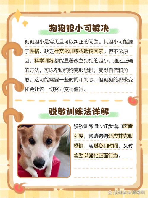  狗狗胆小到处躲怎么办，狗狗胆小到处躲怎么训练-第3张图片-后鲨宠物