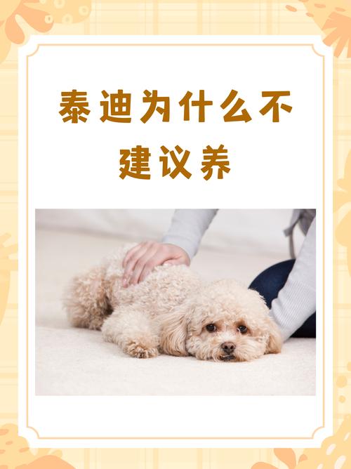  狗狗胆小到处躲怎么办，狗狗胆小到处躲怎么训练-第5张图片-后鲨宠物