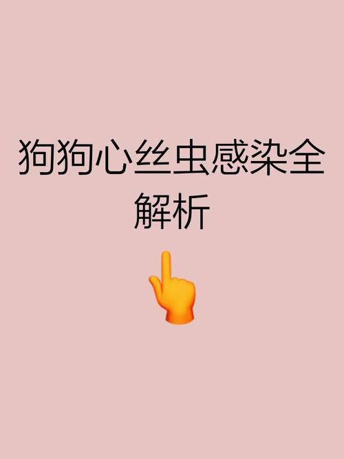 狗狗得心丝虫的几率,狗狗得心丝虫的几率是多少-第2张图片-后鲨宠物 狗狗得心丝虫的几率,狗狗得心丝虫的几率是多少-第2张图片-后鲨宠物