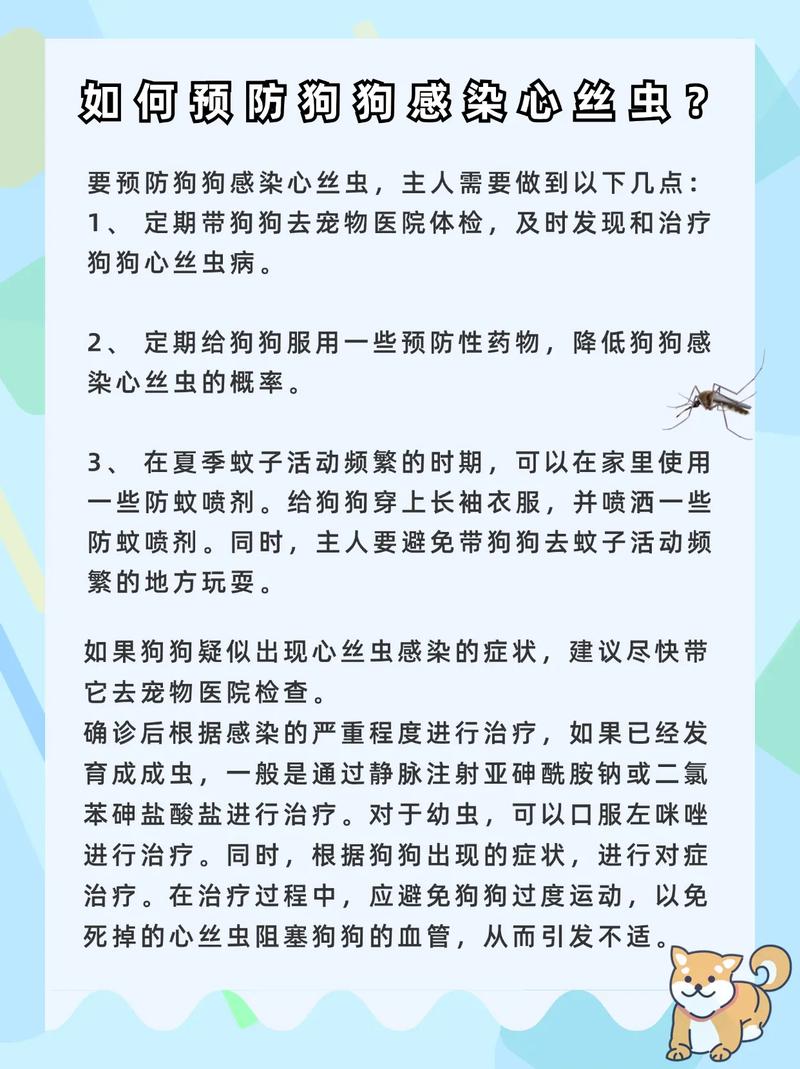 狗狗得心丝虫的几率,狗狗得心丝虫的几率是多少-第3张图片-后鲨宠物 狗狗得心丝虫的几率,狗狗得心丝虫的几率是多少-第3张图片-后鲨宠物