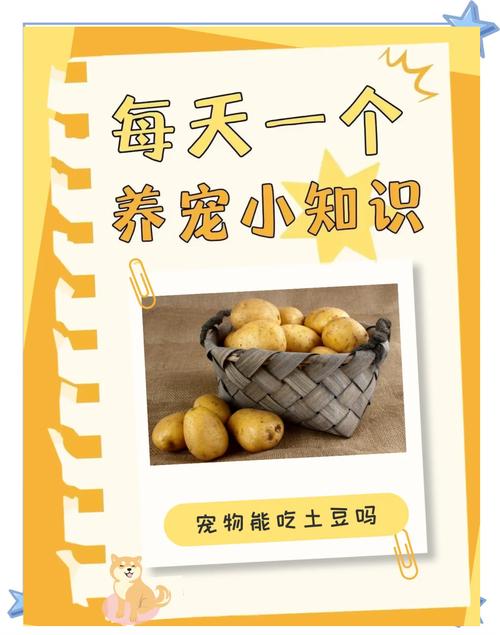 狗狗能吃土豆吗,博美狗狗能吃土豆吗-第2张图片-后鲨宠物 狗狗能吃土豆吗,博美狗狗能吃土豆吗-第2张图片-后鲨宠物