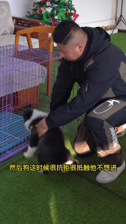 怎么让狗狗不乱叫,让狗狗不叫的消声止吠器?-第5张图片-后鲨宠物 怎么让狗狗不乱叫,让狗狗不叫的消声止吠器?-第5张图片-后鲨宠物