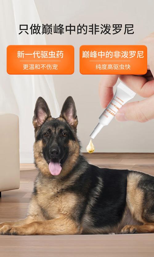 狗狗驱球虫用什么药_狗狗驱球虫用什么药好-第1张图片-后鲨宠物 狗狗驱球虫用什么药_狗狗驱球虫用什么药好-第1张图片-后鲨宠物